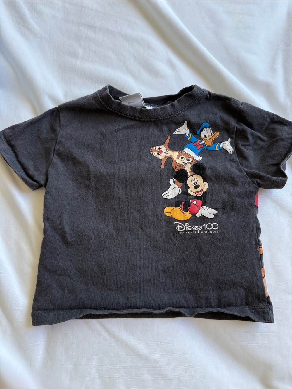 Disney Black Disney 100 Years of Wonder Mickey, Donald & Friends Short SleeveTee